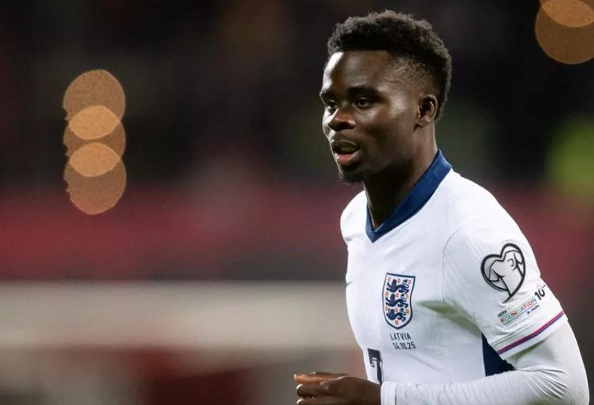 我会从我的, 指出, 很高兴地看