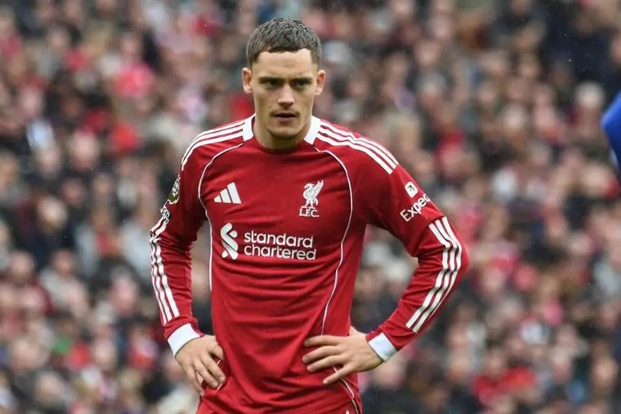 他只是需要 他只是需要